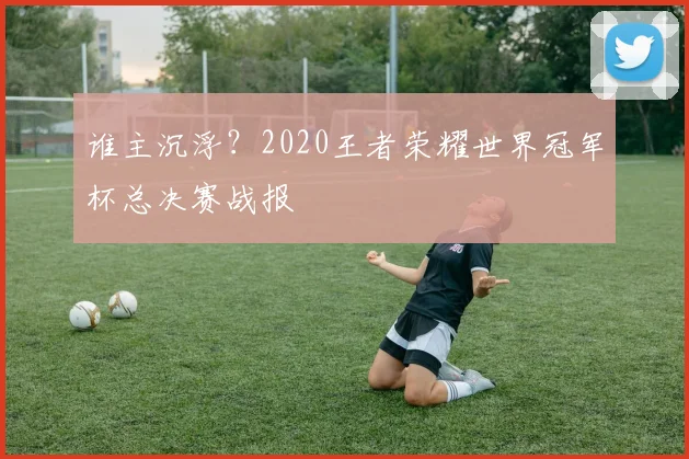 谁主沉浮?2020王者荣耀世界冠军杯总决赛战报