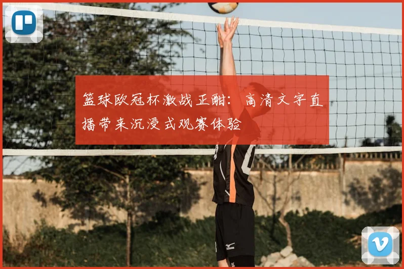 篮球欧冠杯激战正酣：高清文字直播带来沉浸式观赛体验